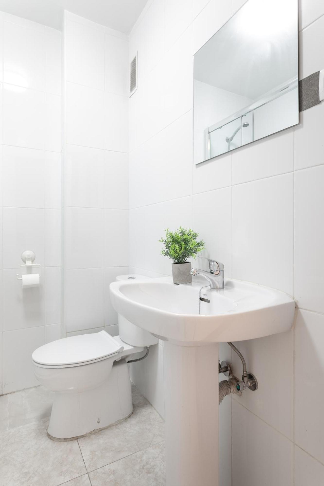 Santos Medicos, Centrico Apartamento Casco Antiguo Alicante Exteriér fotografie